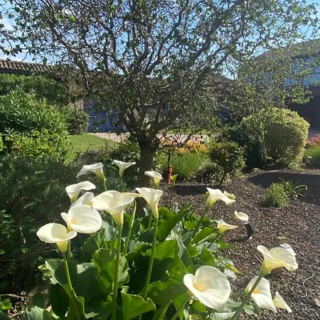 Bed & Breakfast La Maison Du Bonheur